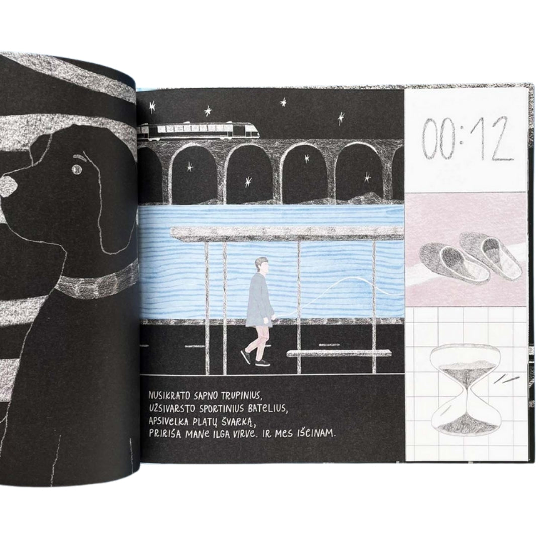 ŠUO, KURIS IŠEINA NAKTĮ